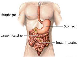 Improve Your Health with Colon Detox.