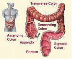 Colon Cleansing Review.