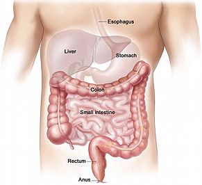 Is Colon Cleansing Necessary?