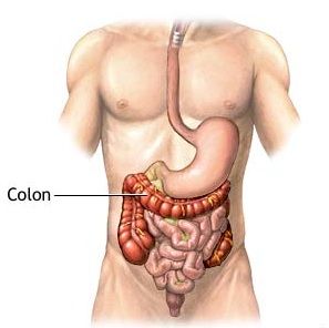 How to Colon Cleanse.